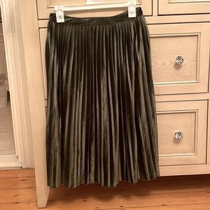 Forrest Green Velvet Skirt